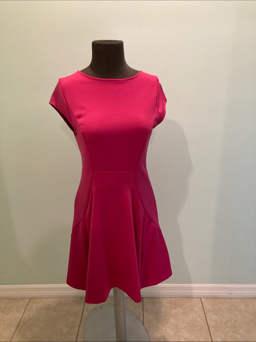 The Limited Bright Fuchsia Fit & Flare Dress